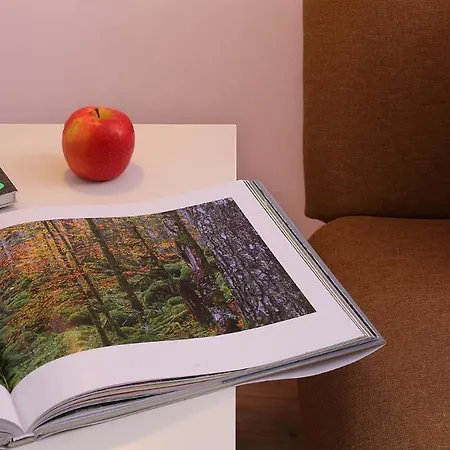 Arche Verzegnis - Unita Abitativa Ammobiliata Ad Uso Turistico