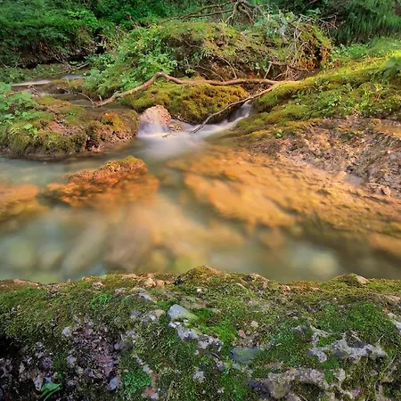 Apartment Arche Verzegnis - Unita Abitativa Ammobiliata Ad Uso Turistico Chiaicis