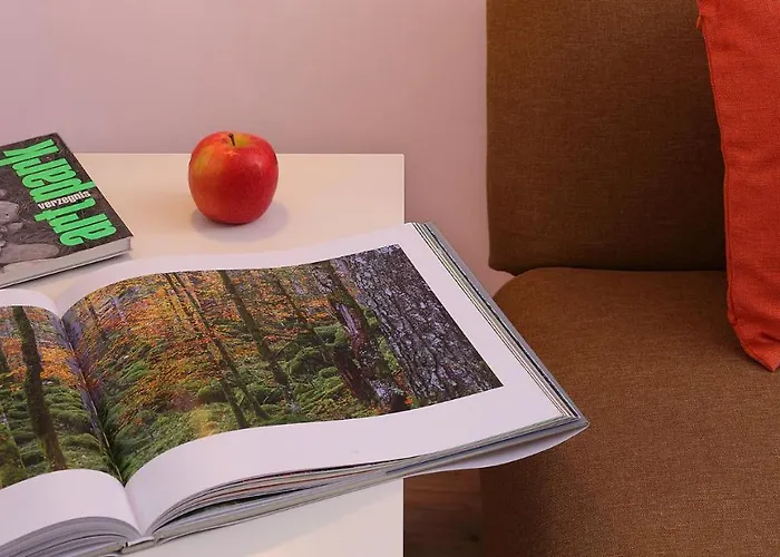 Arche Verzegnis - Unita Abitativa Ammobiliata Ad Uso Turistico